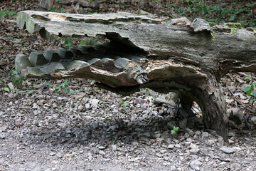 Trail around Lahnstein - Rheinsteig - between Braubach and Koblenz - Hesse - Germany