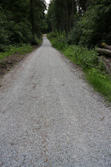 Fototapeta premium Trail around Lahnstein - Rheinsteig - between Braubach and Koblenz - Hesse - Germany