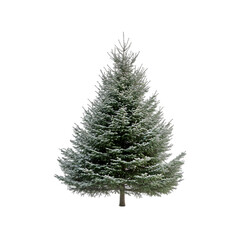 Fototapeta premium A minimalist background with a single Christmas tree, isolated on transparent background