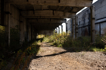 Abandoned Industrial Space Overrun by Nature