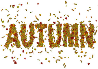 Autumn as text in leaves, illustrating a stormy autumn with lots of leaves, transparent background