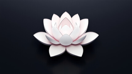 white water lily isolated