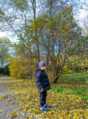 Child plays in autumn leaves at park. A child in winter attire stands among colorful fallen leaves in a park during a sunny autumn day.