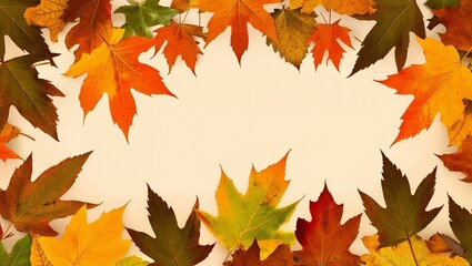 Fototapeta premium Autumn leaves background 