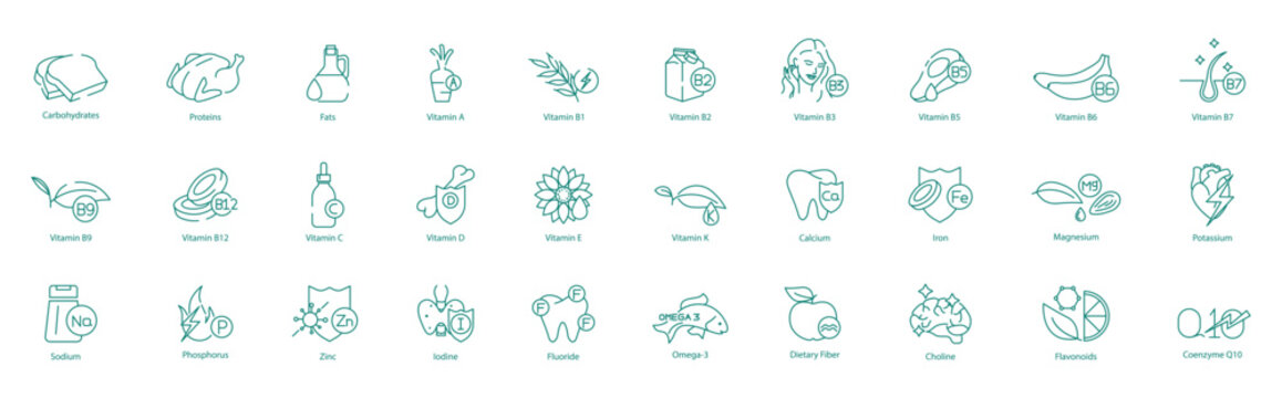 Ultimate Nutrition Icon Set - Carbohydrates, Proteins, Fats, A, B1, B2, B3, B5, B6, B7, B9, B12, C, D, E, K, Calcium, Iron, Magnesium, Potassium, Sodium, Phosphorus, Zinc, Iodine, Fluoride, Omega-3 