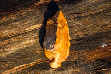 Flint spearhead lying on a tree, primitive weapon of the Stone Age, rare artifact. Central Russia