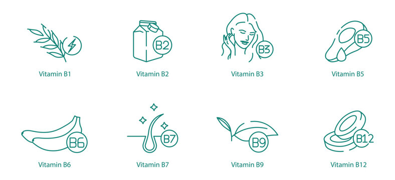 Complete Vitamin B Complex Icon Set - B1, B2, B3, B5, B6, B7, B9, and B12 for Energy and Health