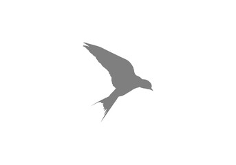 Flying Bird Silhouette png design template logo icon illustration