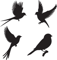 Set of black bird silhouettes. Vector elements for design.