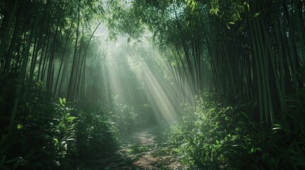 Obraz premium a dense bamboo forest at twilight, with rays of fading light creating beautiful patterns through the bamboo. The forest feels both vast and intimate, with