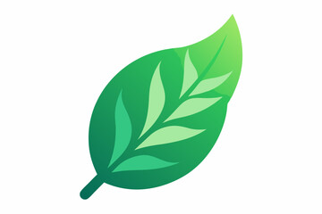 Green leaf isolated on white background. Green leaf art design.