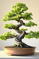 A beautifully shaped bonsai tree in a pot.