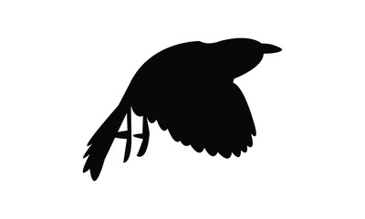 Flying Abbott's babbler Bird Silhouette Design  And Vector Illustration. 