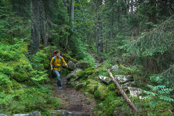 Obraz premium Young man with backpack in the deep forest enjoying hiking during the weekend.