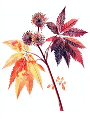 Autumnal Castor Plant Illustration Detailed Botanical Art Fall Foliage Red Orange Yellow Leaves