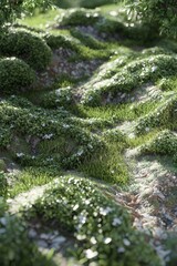 Lush green hillside with vibrant grass and delicate wildflowers under soft sunlight, creating a serene landscape.