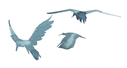 Obraz premium Watercolor bird silhouette. Watercolor fluing birds isolated on white.