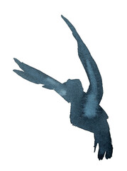 Watercolor bird silhouette. Watercolor fluing birds isolated on white.