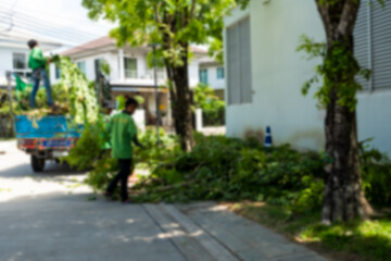 Blur background of a professional gardener pruning a tree and moving up to garbage