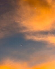 moon in the sky