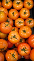 Tomatoes are rich in vitamin C, which may help maintain healthy skin.