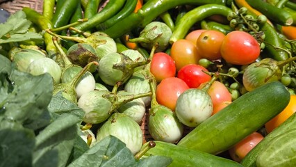 Fresh vegetables for cooking. Vegetables contain dietary fiber that helps cleanse the intestines.