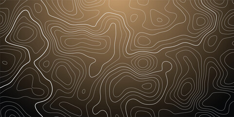 Black and white Topographic map like abstract backdrop. Fractal lines, organic pattern print, Seamless earth line, Wavy lines shaped like the contours of the land, geographic grid map, mountain, area.