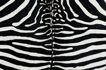 Close-up of zebra skin showing natural black and white stripe pattern