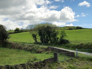 Highland Landscape with Trees and Clouds © Studio-M
