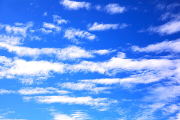 白い雲が美しい秋の空
