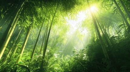 a bamboo forest in full daylight, sunlight streaming through the tall stalks. The lush green foliage creates a peaceful yet dynamic environment