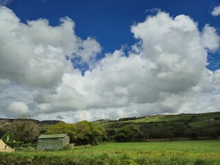 Cloudy Sky Over Green Grassland with Trees and Cumulus Clouds © Studio-M