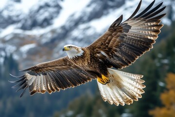 Obraz premium Majestic Eagle in Flight