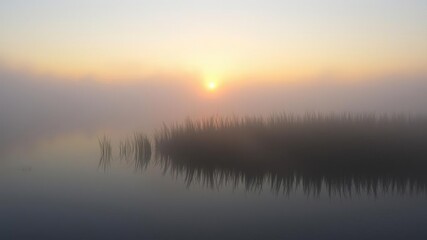 Obraz premium A misty veil shrouds the edge of a gentle lake at sunrise, water, mist