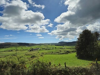 Highland Landscape with Trees, Grass, and Cumulus Clouds