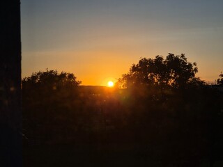 Obraz premium Amber Sunset Over a Tree in a Natural Landscape