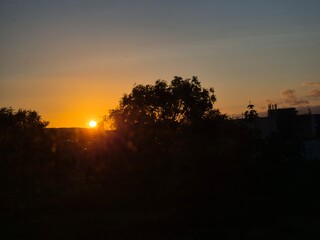 Obraz premium Sunrise in Amber Sky with Trees and Afterglow