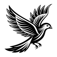 Obraz premium Mourning Dove silhouette