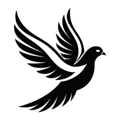 Obraz premium Mourning Dove silhouette