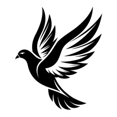 Obraz premium Mourning Dove silhouette