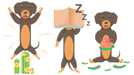 Set Abstract Collection Flat Cartoon Different Animal Dachshunds Dogs Sat On A Catus And Screams, Eats Watermelon, Sleeps With A Book On His Face Vector Design Style Elements Fauna Wildlife