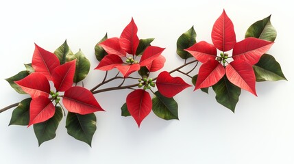 Festive Christmas Poster Featuring Red and White Poinsettias on White Background Creating Elegant Holiday Design