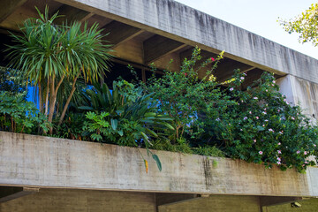 Flowers and plants in the balcony of a modern building in the city