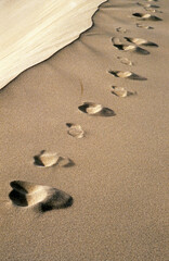 Footprints in the Sand