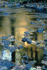 Reflective River Stream