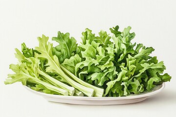 Green leafy vegetables for a diabetes-friendly salad, fresh and inviting, Watercolor style