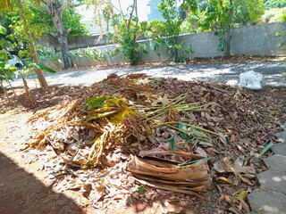 Lots of dry leaves piled up on the side of the road