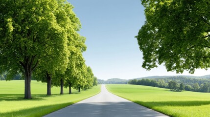 A serene road lined with trees in a lush green landscape.