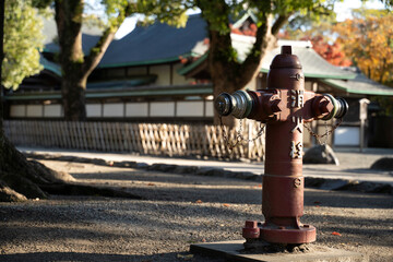 Fire hydrant in Tsurugaoka Hachimangu shrine in Kamakura, Japan.