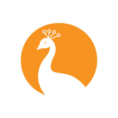 Letter O Peacock Logo Design Vector Template